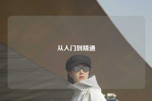 从入门到精通